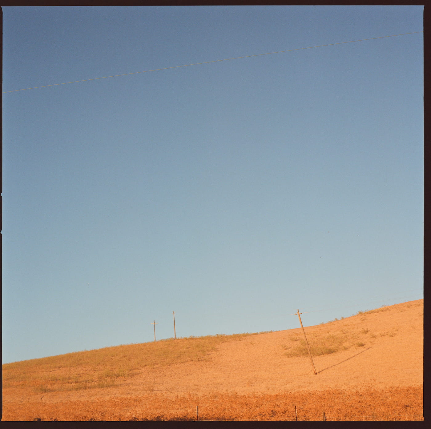 Lonely hill